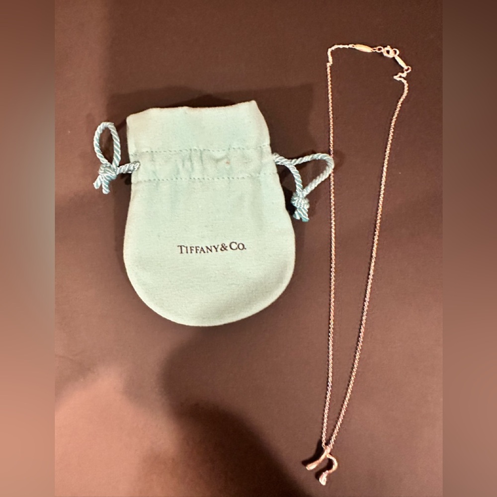 Tiffany & Co. Elegant Silver Necklace with Pendant